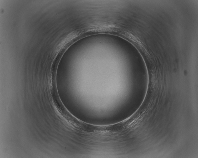 X0000067370582200603311147