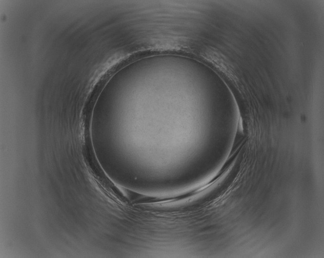 X0000067370584200603311147