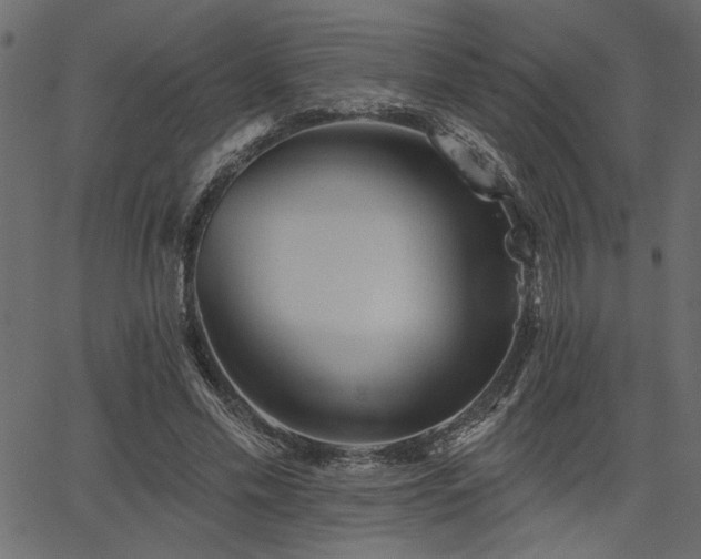 X0000067370589200603311147