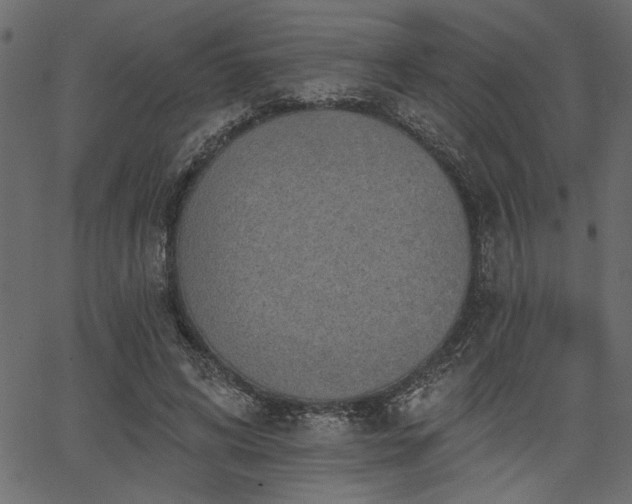 X0000067370592200603311147