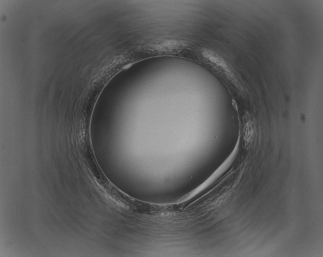 X0000067370593200603311147