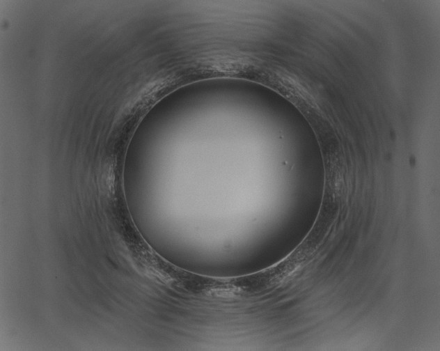 X0000067370595200603311147