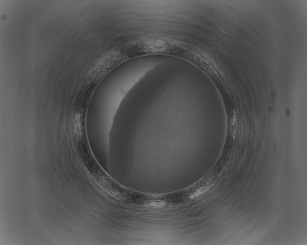 X0000067370598200603311147