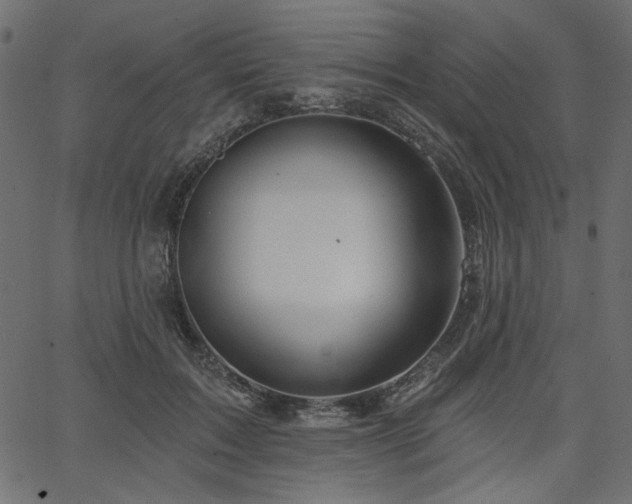 X0000067370603200603311147