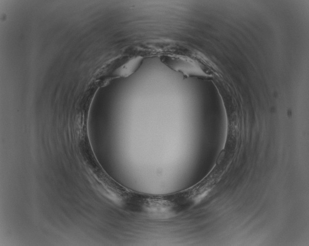 X0000067370605200603311147