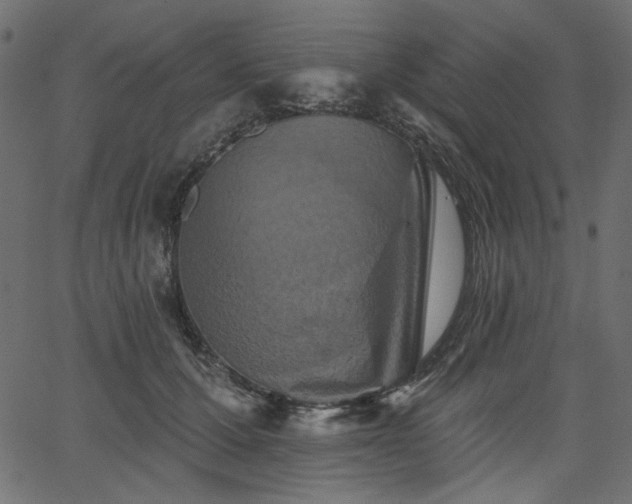 X0000067370607200603311147