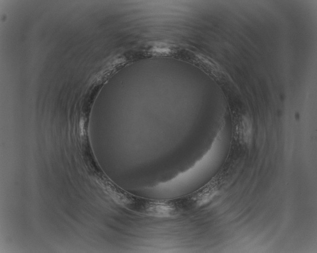 X0000067370610200603311147