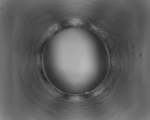 X0000067370611200603311147