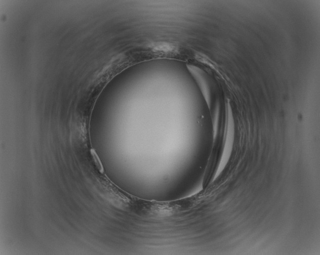 X0000067370613200603311147