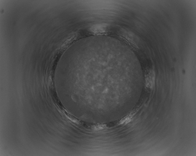 X0000067370618200603311147
