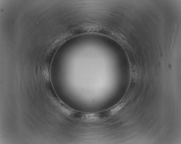 X0000067370622200603311147