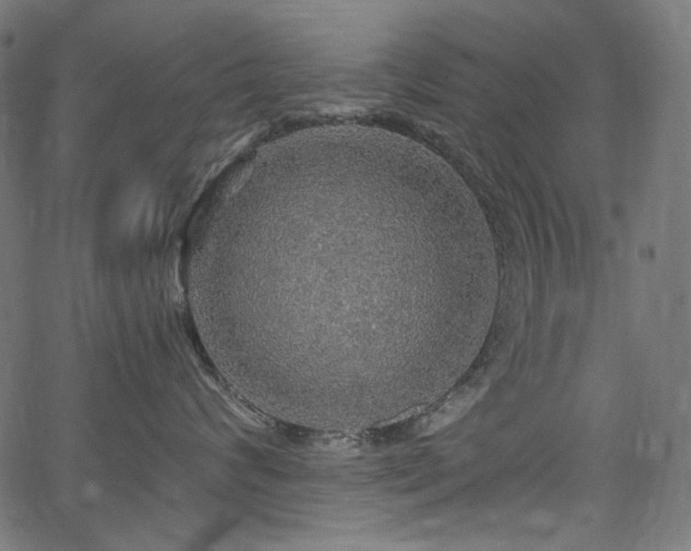 X0000067370624200603311147
