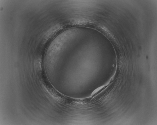 X0000067370640200603311146