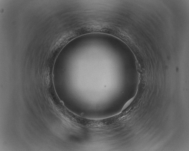 X0000067370642200603311146