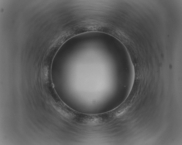 X0000067370646200603311146