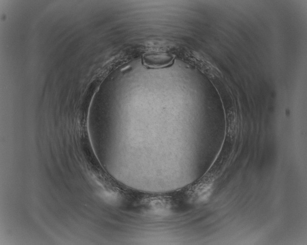 X0000067370655200603311146