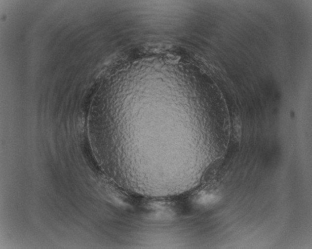 X0000067370657200603311146