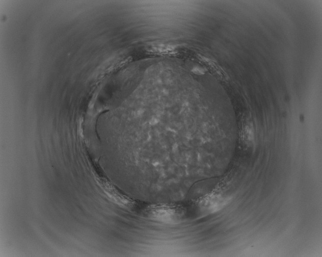 X0000067370658200603311146