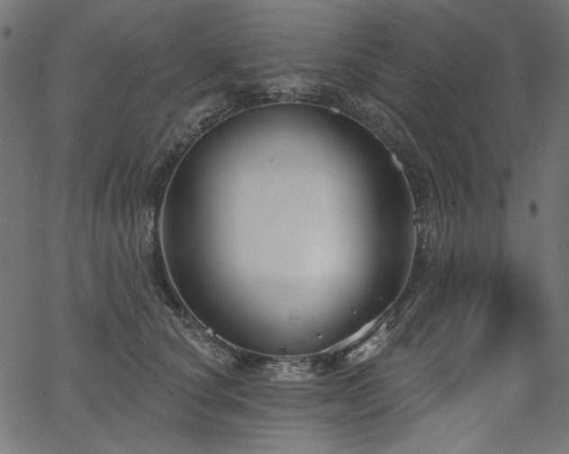 X0000067370660200603311146