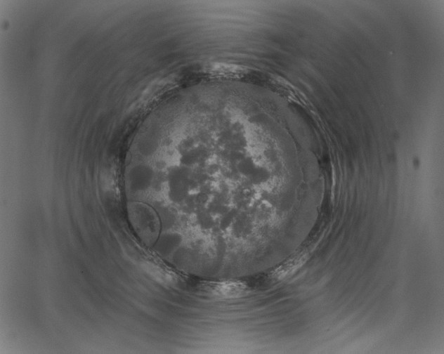 X0000067370663200603311147