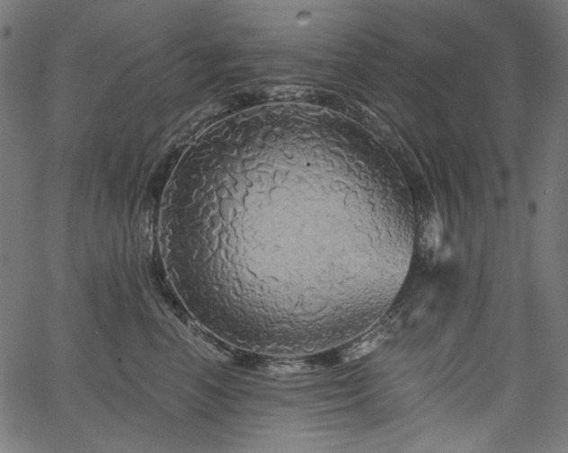 X0000067370666200603311147