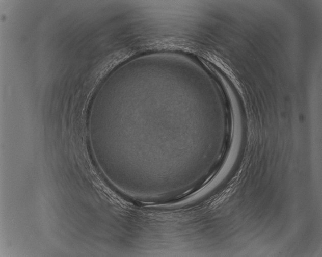 X0000067370673200603311146