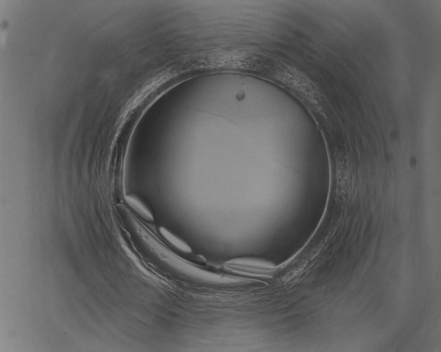X0000067370674200603311146