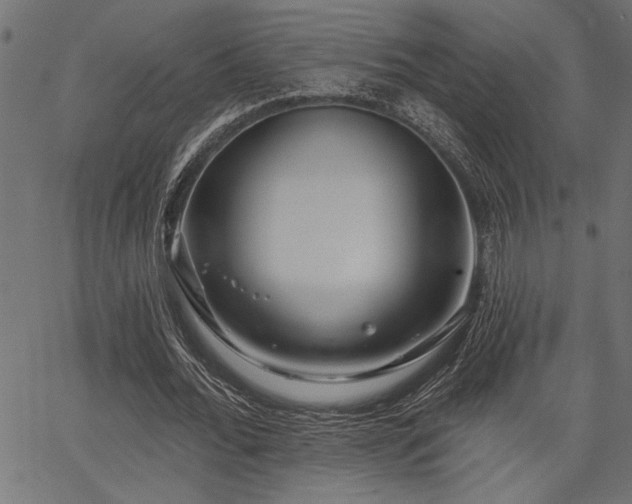 X0000067370676200603311146