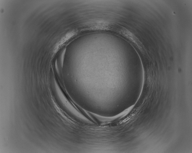 X0000067370677200603311146