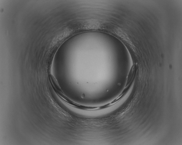 X0000067370681200603311146