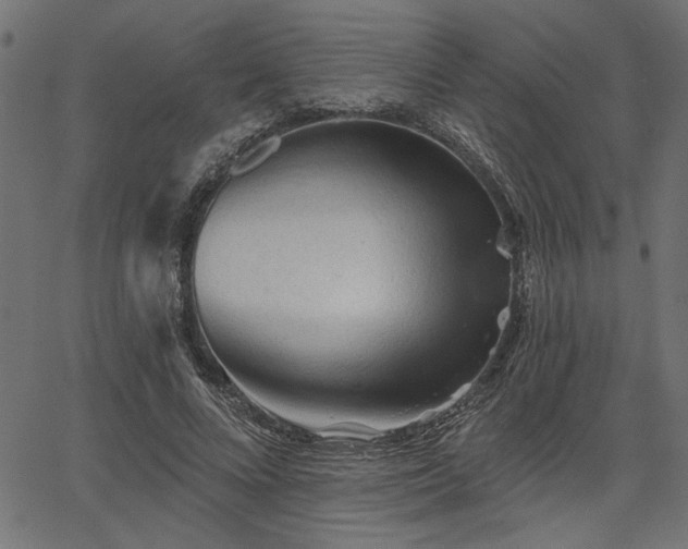 X0000067370688200603311146