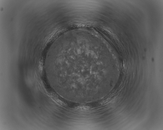 X0000067370691200603311146