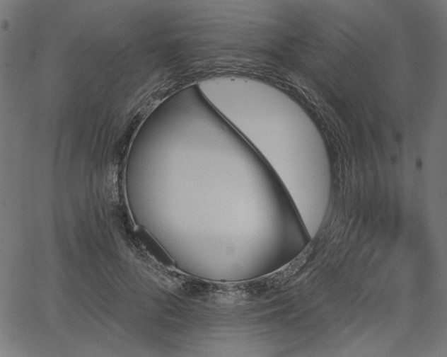 X0000067370696200603311146