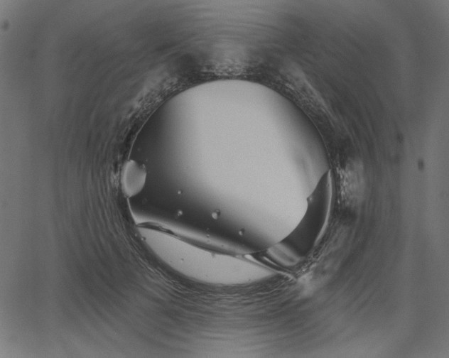 X0000067370697200603311145