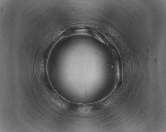 X0000067370700200603311145