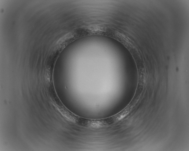X0000067370710200603311145