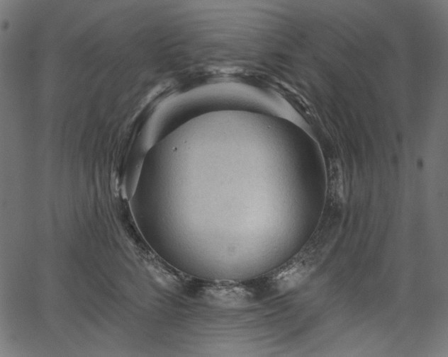 X0000067370712200603311145