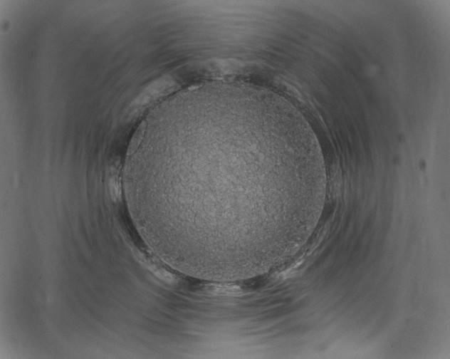 X0000067370719200603311145