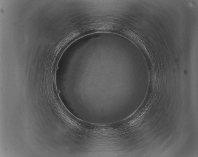 X0000067370721200603311144
