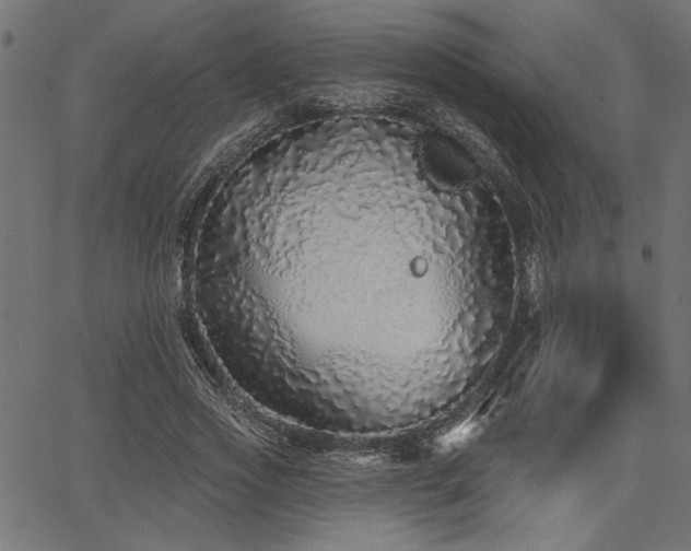 X0000067370733200603311145