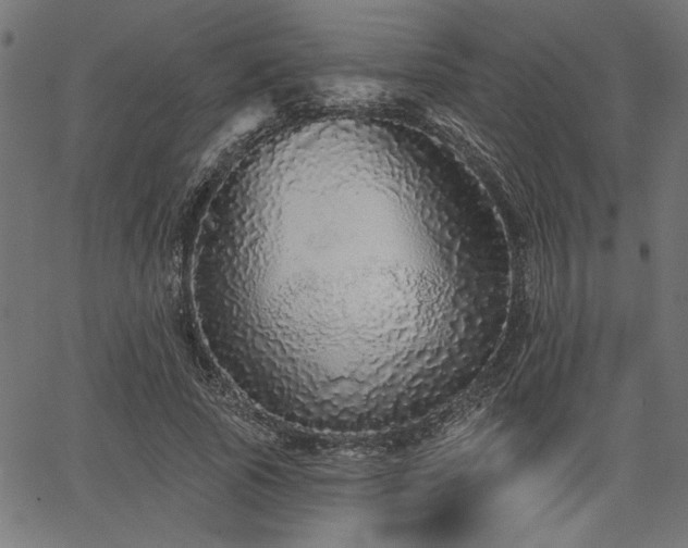 X0000067370737200603311145