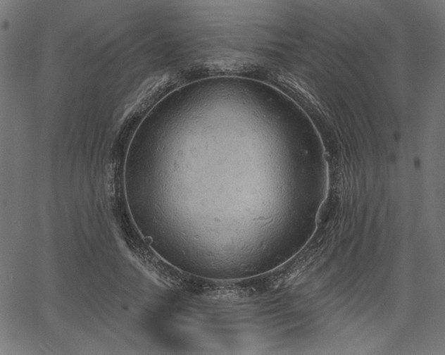 X0000067370738200603311145