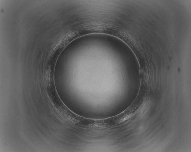 X0000067370739200603311145