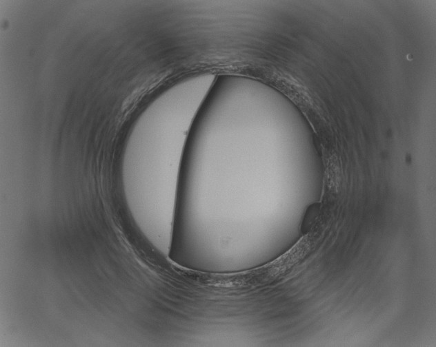 X0000067370740200603311145