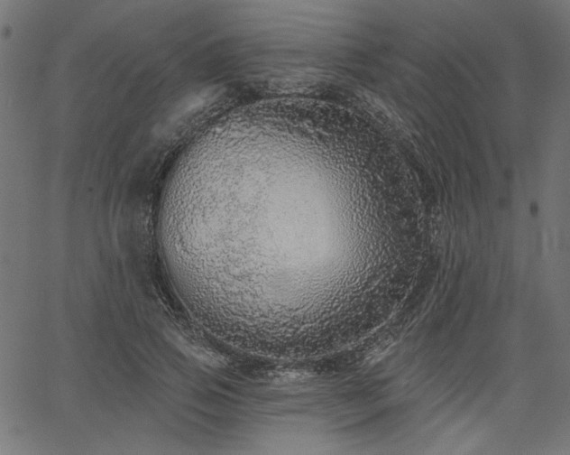 X0000067370741200603311145