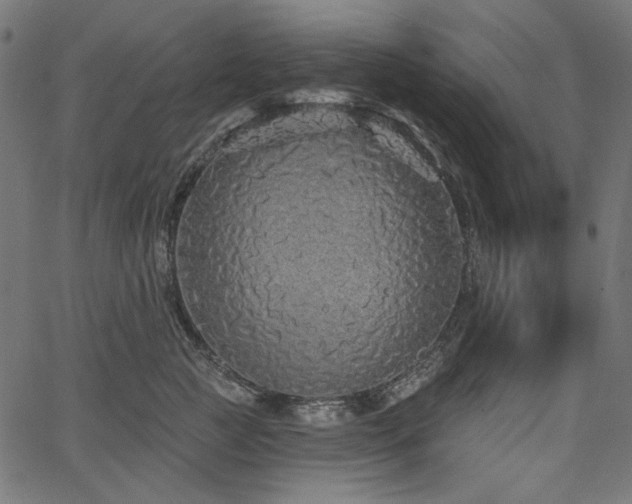 X0000067370761200603311145