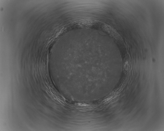 X0000067370772200603311144