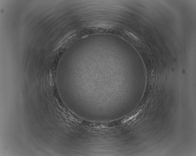 X0000067370774200603311144