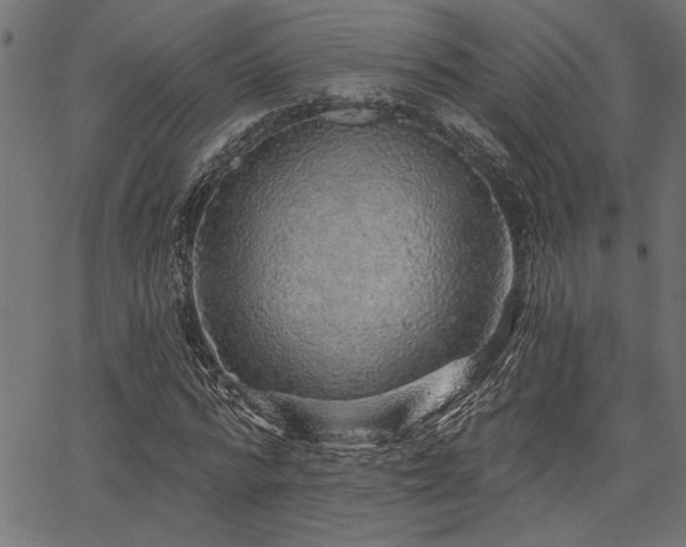 X0000067370776200603311144