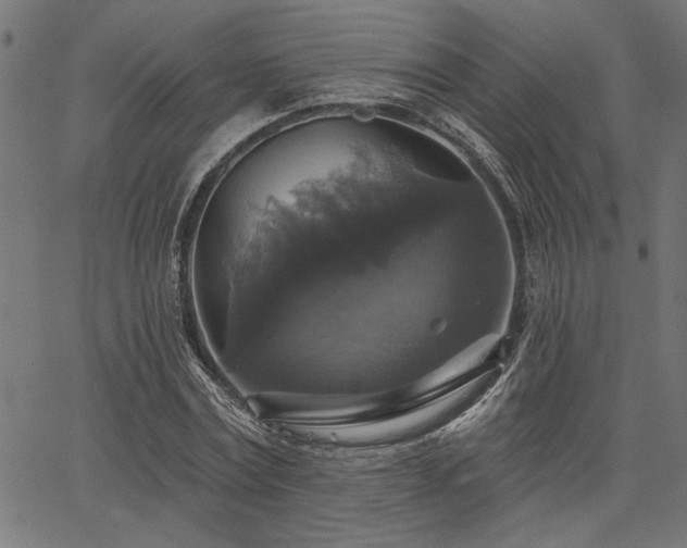 X0000067370779200603311144